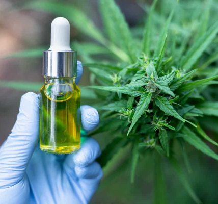 CBD Products with Free Shipping: Convenient Shopping Experience