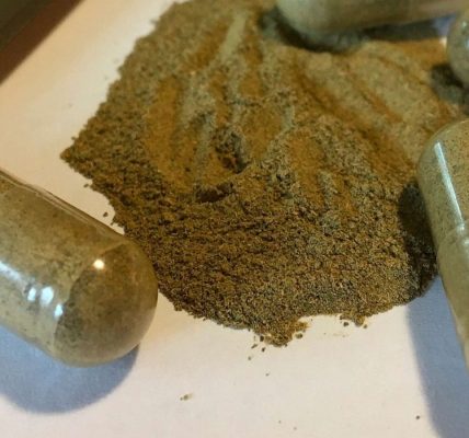 Kratom Alchemy How an Ancient Herb is Revolutionizing Contemporary Wellness