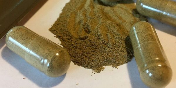 Kratom Alchemy How an Ancient Herb is Revolutionizing Contemporary Wellness